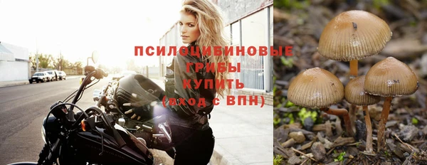 экстази Переславль-Залесский